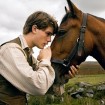 War Horse adds a teaser trailer